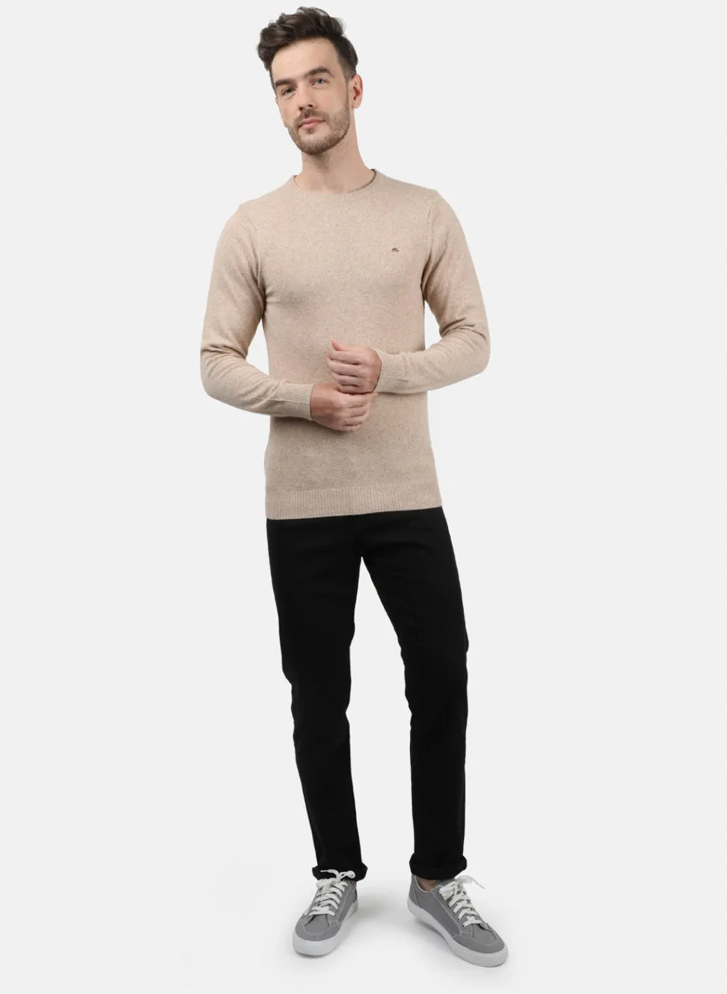 Men Beige Solid Pullover