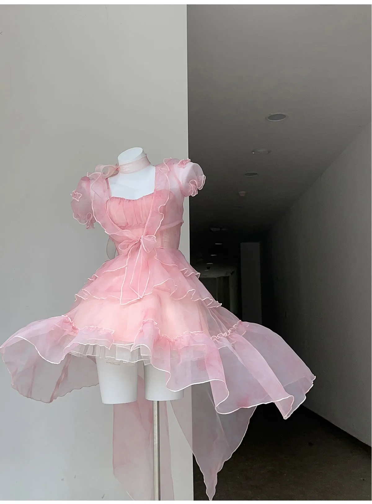 Pink Trailing Dress PL53355